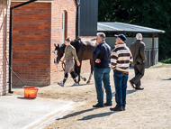 EL210922-145 - Owners looking around the yard